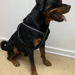 Padded Easy Walk Harness No Pull Dog Vest- Black Reflective Spacer Mesh -Puppy`s Store 707900 13 full 49949.1638911527