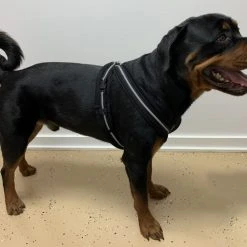 Padded Easy Walk Harness No Pull Dog Vest- Black Reflective Spacer Mesh -Puppy`s Store 707900 14 full 48715.1638911528