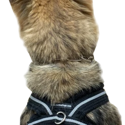Padded Easy Walk Harness No Pull Dog Vest- Black Reflective Spacer Mesh -Puppy`s Store 707900 5 full 13269.1638911518