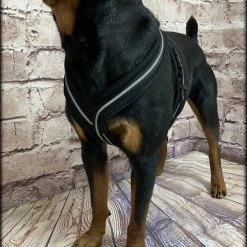 Padded Easy Walk Harness No Pull Dog Vest- Black Reflective Spacer Mesh -Puppy`s Store 707900 7 full 31101.1638911520