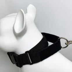 Service Dog No Slip Martingale Patch Collar -Puppy`s Store 707904 9 full 08759.1638911521