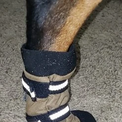 Non Slip Reflective Dog Boots (set Of 2) -Puppy`s Store 708105 11 full 82713.1646860823