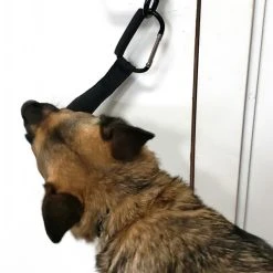 Open Task Training Carabiner -Puppy`s Store 708247 102 full 05262.1638911418