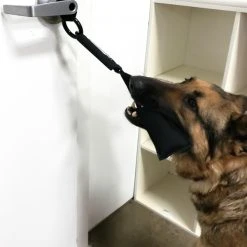 Open Task Training Carabiner -Puppy`s Store 708247 104 full 90512.1638911422