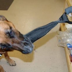 Open Task Training Carabiner -Puppy`s Store 708247 112 full 34862.1638911409