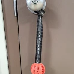 Open Command Training Ball -Puppy`s Store 708249 8 full 47574.1646861104