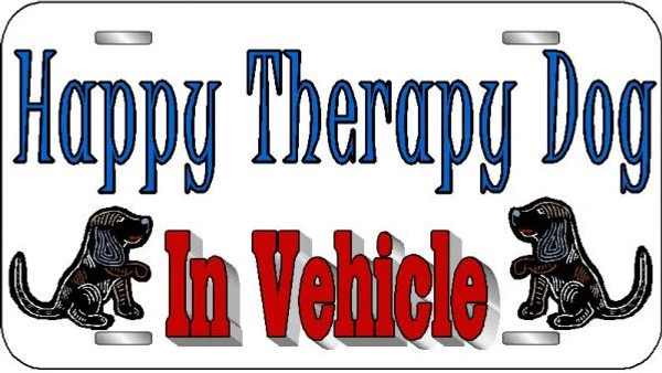 Aluminum License Plate 2 Aluminum License Plate - Image 2