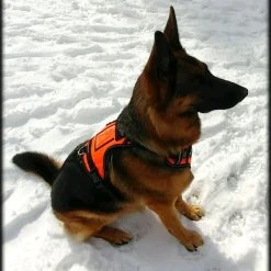 Search & Rescue Reflective Padded Tracking Harness -Puppy`s Store 757544 4 full 02169.1638911529