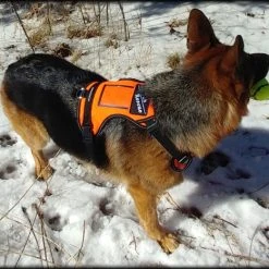 Search & Rescue Reflective Padded Tracking Harness -Puppy`s Store 757544 6 full 78687.1638911531