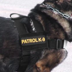 Nylon Patrol Harness -Puppy`s Store 763055 3 full 94305.1638911446