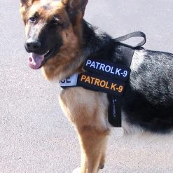 Nylon Patrol Harness -Puppy`s Store 763055 4 full 15219.1638911454