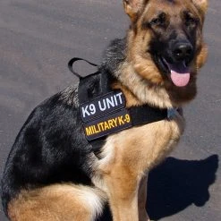 Nylon Patrol Harness -Puppy`s Store 763055 5 full 35306.1638911451