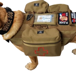 CaliberDog K9 Tactical MOLLE Vest -Puppy`s Store 842001 101 full 50325.1638911442
