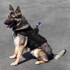 CaliberDog MOLLE Raised Camera Back Mount -Puppy`s Store 842016 7 full 67180.1638911456