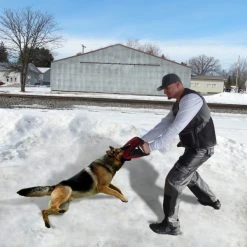 CaliberDog Handler Vest 34 CaliberDog Handler Vest -Puppy`s Store 842111 4 full 06269.1638911502