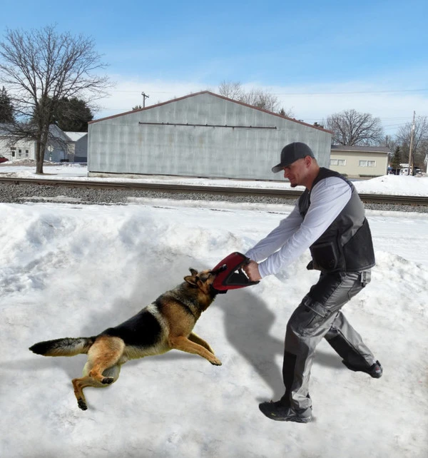 CaliberDog Handler Vest 6 CaliberDog Handler Vest - Image 6