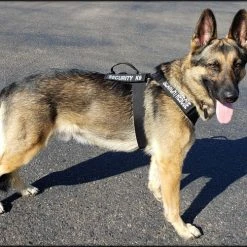 CaliberDog K9 Tactical Harness -Puppy`s Store 843405 16 full 93927.1638911509