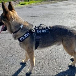 CaliberDog K9 Tactical Harness -Puppy`s Store 843405 21 full 30351.1638911516