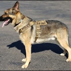 CaliberDog K9 Tactical Harness -Puppy`s Store 843405 8 full 56799.1656615333