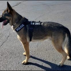 CaliberDog K9 Tactical Harness -Puppy`s Store 843405 9 full 33525.1638911510