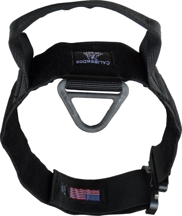 CaliberDog ID Collar With Cobra Buckle & Handle 9 CaliberDog ID Collar With Cobra Buckle & Handle - Image 9