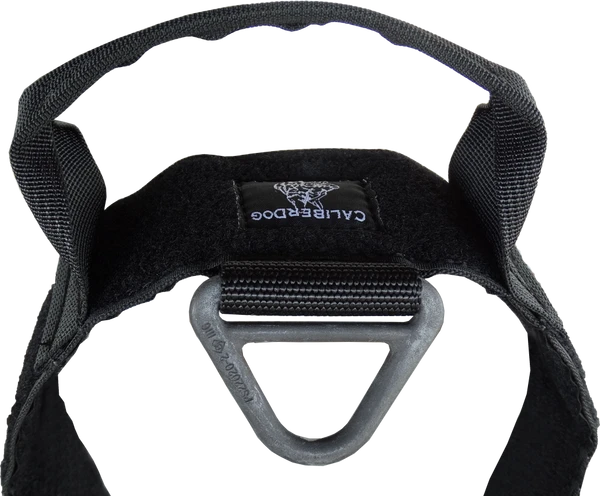 CaliberDog ID Collar With Cobra Buckle & Handle 10 CaliberDog ID Collar With Cobra Buckle & Handle - Image 10