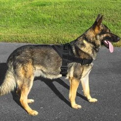 CaliberDog GT Patrol Harness 12 CaliberDog GT Patrol Harness -Puppy`s Store 844215 2 full 65350.1638911461