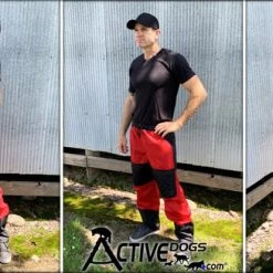 Handler Color Block Training Pants -Puppy`s Store 90119079 4 full 41346.1643652825