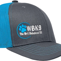 Custom Logo/Text Snapback Trucker Hat