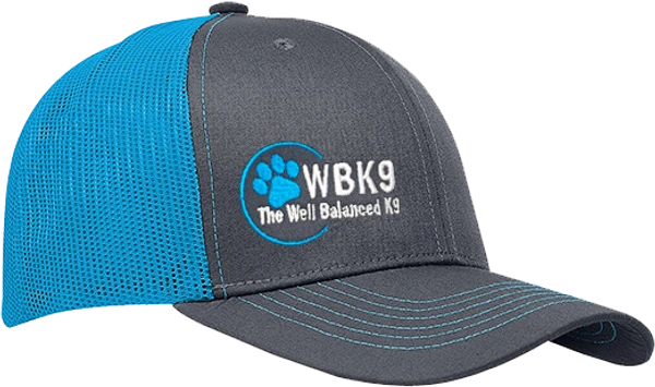 Custom Logo/Text Snapback Trucker Hat 1 Custom Logo/Text Snapback Trucker Hat