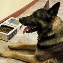 Personalized Water & Food Bowl Set -Puppy`s Store 990909 5 full 06119.1638911496