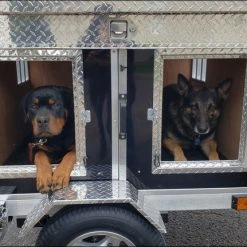 Motorcycle & Small Vehicle Dog Trailer -Puppy`s Store 996050 7 full 89258.1638911387