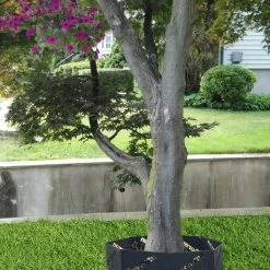 Metal Fire Ring - Tree Ring/Base - Dog Breed Specific -Puppy`s Store 997162 5 91603.1649066754