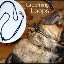 Grooming Loops -Puppy`s Store Ad5 68711.1638911403