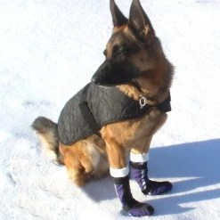 Ultimate Dog Boots (Set Of 2) -Puppy`s Store BotEd15b full 87050.1638911518