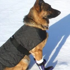 Ultimate Dog Boots (Set Of 2) -Puppy`s Store BotEd16 full 92727.1638911507