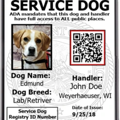 ActiveDogs Registered Service Dog Photo ID Card + Clip-On ID Carrier + FREE Digital ID Copy -Puppy`s Store IPhone ID 90768.1656416744