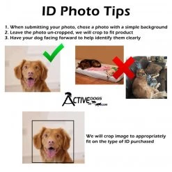 Vertical Identification Card + Free Digital Copy -Puppy`s Store PhotoTips full 67933.1638911423