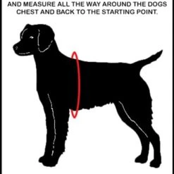 Padded Air-Tech Service Dog Harness Vest - 13 Color Variety -Puppy`s Store SizeChart full 39883.1638911456