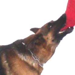 Bite Suite Synthetic Bite Wedge -Puppy`s Store TCED 70791.1645025332