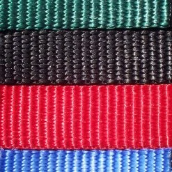 Puppy`s Store -Puppy`s Store color full 87283.1638911399