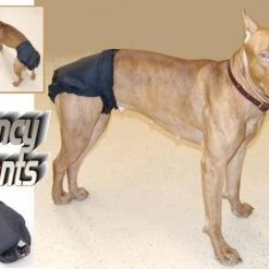 Set Of 3 Fancy Pants Diapers -Puppy`s Store fpAD4 72115.1638911360