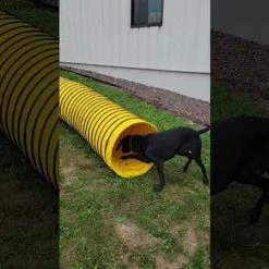 Agility Heavy Duty Dog Tunnel 24" X 20' -Puppy`s Store hqdefault 13682.1652382131