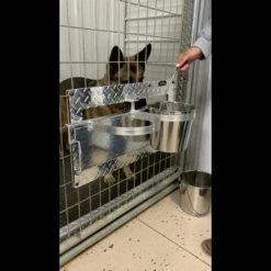 Swinging Double Diner - Dog Drink & Food Bowls For Kennel -Puppy`s Store maxresdefault 89145.1646860055