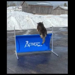 IGP/IPO/Schutzhund Aluminum Standard Hurdle Jump -Puppy`s Store sddefault 00413.1655118299