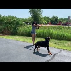 Fleece Bungee Tug W/Rubber Tails -Puppy`s Store sddefault 71422.1646861165