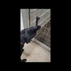 Open Command Training Ball -Puppy`s Store sddefault 81751.1646861104