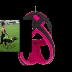 ActiveDogs Fleece No Pull Dog Harness -Puppy`s Store sddefault 87471.1646860328